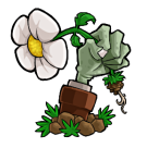 植物大战僵尸